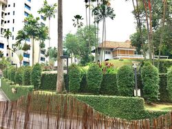 Holland Peak (D10), Condominium #563600511